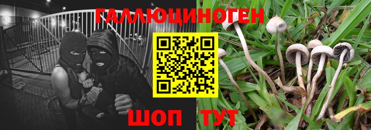 Псилоцибиновые грибы Magic Shrooms  Псилоцибиновые грибы Cubensis  Ливны  Вход с VPN 