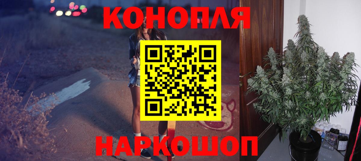 Каннабис сатива Ливны